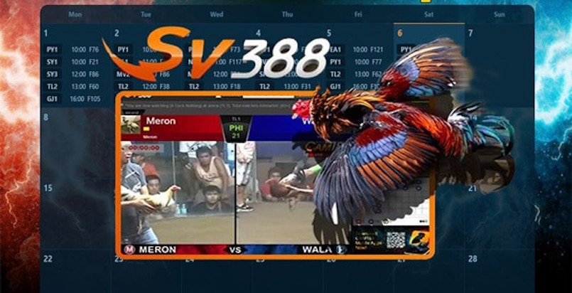 Dễ dàng tham gia dễ dàng chơi đá gà trên SV388